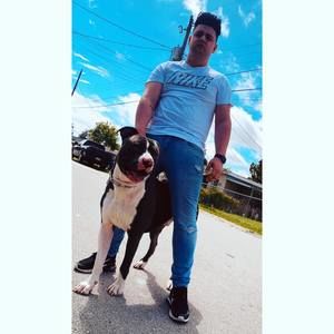 Meet your Posher, Rodolfo